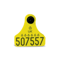 Allflex Single Replacement Cattle Tag additional 2