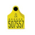 Single Replacement Cattle Tag additional 1
