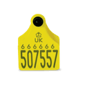 Allflex Single Replacement Cattle Tag additional 1