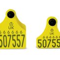 Double Replacement Cattle Tag additional 4