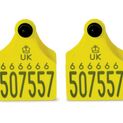 Double Replacement Cattle Tag additional 2