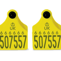 Allflex Double Replacement Cattle Tag additional 2