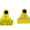 Double Replacement Cattle Tag additional 8