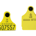 Allflex Double Replacement Cattle Tag additional 9