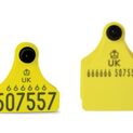 Double Replacement Cattle Tag additional 9