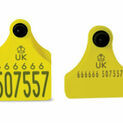 Double Replacement Cattle Tag additional 10