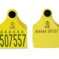 Double Replacement Cattle Tag additional 7