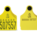 Allflex Double Replacement Cattle Tag additional 7