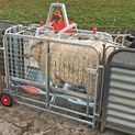 Ritchie Galvanised Digital Lamb Weigher additional 1