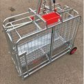 Ritchie Galvanised Tru-Test Digital Lamb Weigher additional 2