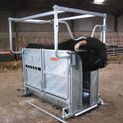 Ritchie Adjustable Highland Cattle Crate additional 8