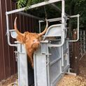 Ritchie Adjustable Highland Cattle Crate additional 7