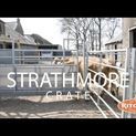 Ritchie Strathmore Cattle Crate With Manual Yoke additional 5