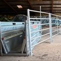 Ritchie Automatic Beef Monitor Weighing Unit additional 7