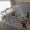 Ritchie Steel Frame Calving Cube With Detachable Gate additional 6