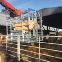 Ritchie Calving Cube additional 2