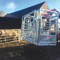 Ritchie Calving Cube additional 1
