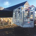 Ritchie Steel Frame Calving Cube additional 1
