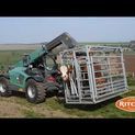 Ritchie Steel Frame Calving Cube With Detachable Gate additional 4