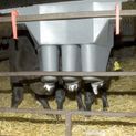Milk Bar™ 3 Compartment Calf Feeder with Ezi-Lock Hooks additional 2