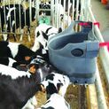 Milk Bar™ 10 Calf Feeder with Ezi-Lock Hooks additional 2