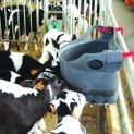 Milk Bar™ 10 Calf Feeder with Ezi-Lock Hooks additional 2