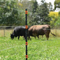 4 x 140cm Gallagher Line Post Electric Fence Post additional 5