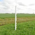 20 x 100cm Gallagher Vario Electric Fence Post White additional 2