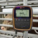 Gallagher TW-3 EID Animal Weigh Scale and Data Collector additional 6