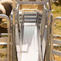 Alligator Pro 750 - Sheep Handling System Manual Winch additional 9
