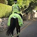 Equisafety Polite Waterproof Quilted Hi-Vis Wrap Around Horse Rug additional 2