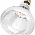 Tusk Intelec ES27 Hard Glass Infra-Red Bulb Clear - 250w additional 1