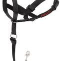 HALTI Dog Headcollar With Muzzle Closing additional 5