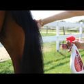 Leovet 5 Star Detangler - 550 ML additional 2