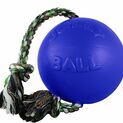 Jolly Pets Romp-n-Roll Jolly Ball additional 1