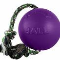 Jolly Pets Romp-n-Roll Jolly Ball additional 2