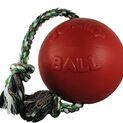 Jolly Pets Romp-n-Roll Jolly Ball additional 3
