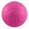 Jolly Pets Bounce-n-Play Jolly Ball additional 2