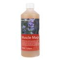 Hilton Herbs Muscle Magic additional 1