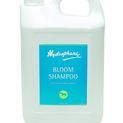 Hydrophane Bloom Shampoo additional 2