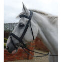 Mark Todd Bridle Double Raised - Cob additional 1
