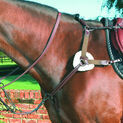Mark Todd Breastplate 5-Point Deluxe - Cob additional 1