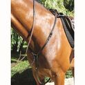 Mark Todd Breastplate Padded - Cob additional 1
