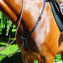 Mark Todd Breastplate Padded - Cob additional 2
