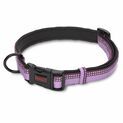 HALTI Dog Collar Purple additional 1