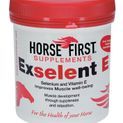Horse First Exselent E additional 1