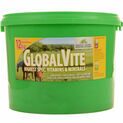 Global Herbs GlobalVite additional 3