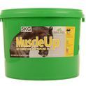 Global Herbs MuscleUp additional 2
