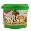 Global Herbs Sarc-Ex Treatment For Horses additional 1
