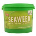 Global Herbs Seaweed additional 1
